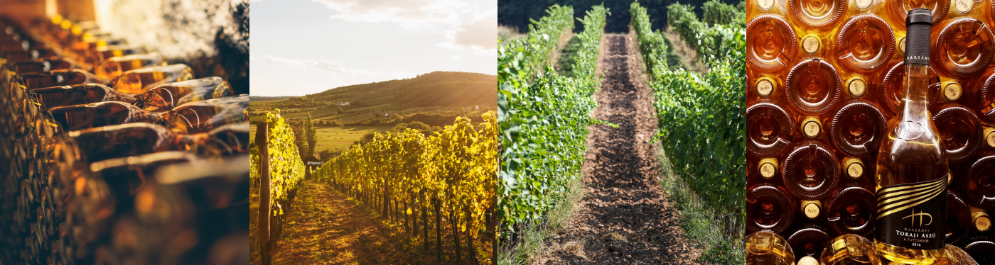 Harsányi Pincészet